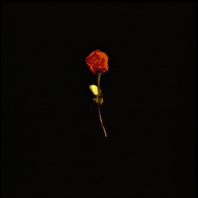 Phono Paradiso - Seventeen (Mastered for Download/CD)